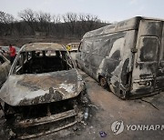 ALGERIA FOREST FIRES