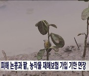 콩·팥 농작물 재해보험 기한 연장