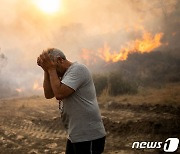 "내 삶이 멈췄다"…일주일 산불에 황망한 그리스 섬주민들