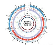 이산화탄소 분해해 알코올로 전환하는 미생물 발견