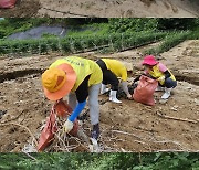 금잔디 팬카페, 수해복구 현장서 봉사…금잔디 어머니도 참여