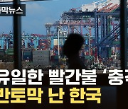 [자막뉴스] 5연속 추락...유독 심각한 韓 '위험한 수치'