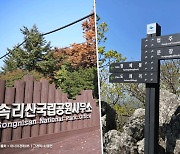 "땅 울리고 저수지에 기포 솟아올라"…속리산 산사태 징후 신고