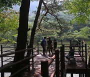 “속리산서 땅 울리는 소리 난다”…산사태 징후에 탐방로 통제