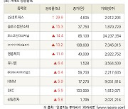 [fnRASSI]장마감, 거래소 상승 종목(LS네트웍스 29.9% ↑)