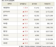 [fnRASSI]장마감, 코스닥 상승 종목(대봉엘에스 30.0% ↑)