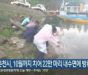 춘천시, 10월까지 치어 22만 마리 내수면에 방류