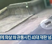 개에 화살 쏴 관통시킨 40대 재판 넘겨져