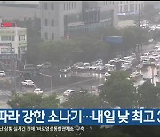 울산 곳에 따라 강한 소나기…내일 낮 최고 33도