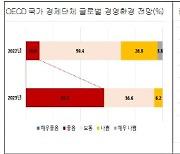 OECD 경제단체들 "글로벌 경제 긍정적...전쟁 불안은 여전"