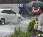 여름철 車사고 증가…“함부로 과실 인정 말고, 현장 보존하세요”