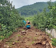 영주시 "폭우피해 복구 농업용 굴삭기 임대료 면제"