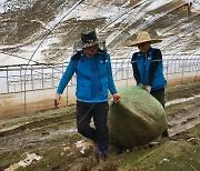 안산도시공사, 충남 청양군 수해현장 찾아 구슬땀