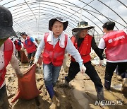 수해 피해 입은 비닐하우스에서 봉사활동 하는 김기현 대표