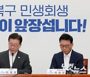 의사봉 두드리는 이재명 대표