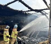 경남 합천군 묘산면 돈사 화재… 돼지 1100여마리 폐사