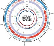 온실가스 분해 능력 갖춘 ‘자생 미생물’ 첫 확인