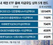 美 긴축 막바지···채권 ETF에 돈 몰린다