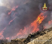 Italy Wildfires