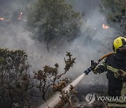 PORTUGAL FOREST FIRE