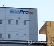 [특징주] '에코프로 형제' 또 신고가…장 초반 10% 급등