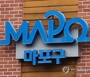 마포구, 빈집 추정 495가구 전수조사…철거·정비 환경개선