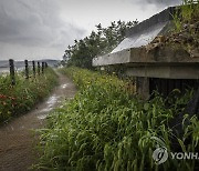 '정전70년' 쉼터로 변신한 냉전의 유물