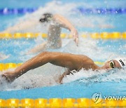 JAPAN WORLD AQUATICS