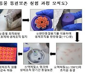 국내 연구진, 산양 등 멸종 위기 19종 동결 보존 기술 개발