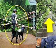 장마철 서울 반려견 순찰대 활동…위험요소 187건 발견해 신고