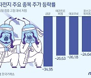 '공매도 참패'가 탈출 신호탄이었나…2차전지 널뛰기에 '대혼돈'