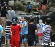 시원한 계곡에서 즐기는 물놀이