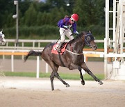 [경마] '우연 아닌 실력으로 입증!' 농림축산식품부장관배에서 '글로벌히트'와 김혜선 기수의 이유 있는 우승