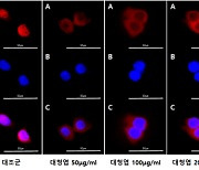 한의학연, 대청엽 추출물에서 아토피 완화 효과 발견…아토피피부염 치료물질 기대