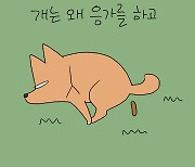 [웹툰] 냇길의 진심은? 정답을 고르시오