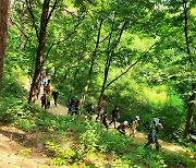 원주 ‘트레킹 도시’ 선포···‘맨발 걷기 축제’ 등 다양한 행사 진행