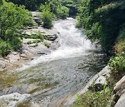 대구 군위군 동산계곡서 20대 3명 물에 빠져 심정지