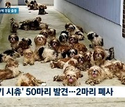 악취·소음에 경찰 출동하니 '누더기 시츄' 50마리