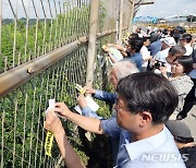 철책에 다는 평화의 리본