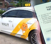 낯선 팁 제도 도입한 택시들…"부담 크다" 우려도