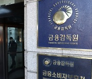 "대출 받으려다 자영업자가 보이스피싱 공범으로 전락"···금감원, 소비자경보 발령