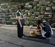 '서울 반려견 순찰대' 맹활약···이달 범죄·위험요소 187건 신고