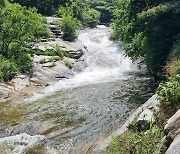 사망사고 군위 동산계곡은 '강제력 없는' 물놀이 금지구역