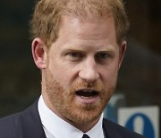 Britain Prince Harry Legal Cases