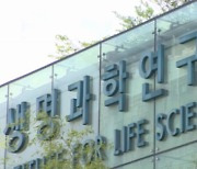 [단독]‘천인계획’ 합격 돕는 中브로커들…각서도 등장