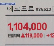 에코프로 급등락에 임원들 대거 매각