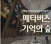 메타버스 플랫폼 '엘리펙스', 6월에만 100여 개 기업이 선택