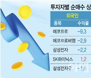 2차전지 광풍…동학개미 vs 외국인 수익률 승자는