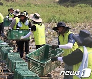 윤해진 NH농협생명 대표, 폭우피해 현장 수해복구 일손 돕기 나서