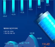 [오늘의 그래픽]2차전지 급락 후 반등 "예측 불허 널뛰기"